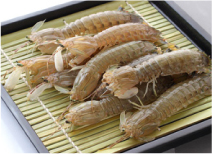 しゃこ 蝦蛄 大阪市中央卸売市場