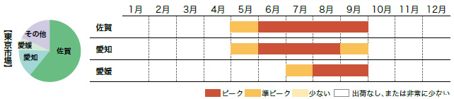 ハウスみかんの市場シェアと出回り時期