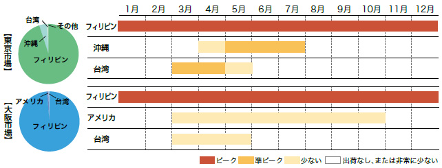 パイナップルの市場シェアと出回り時期