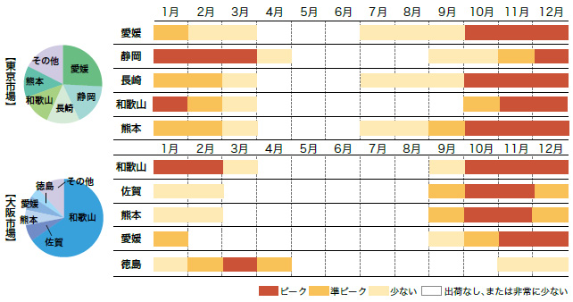 温州みかん市場シェアと出回り時期