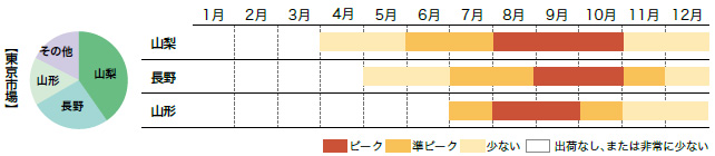 ぶどうの市場シェアと出回り時期