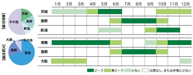 カリフラワーの市場シェアと出回り時期