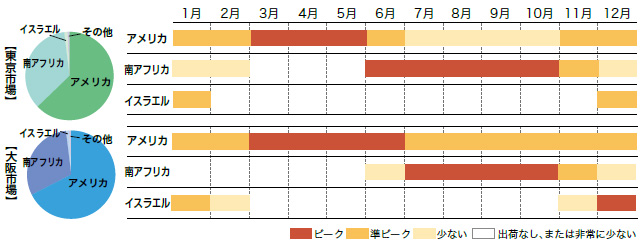 グレープフルーツの市場シェアと出回り時期