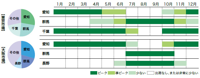 キャベツの市場シェアと出回り時期