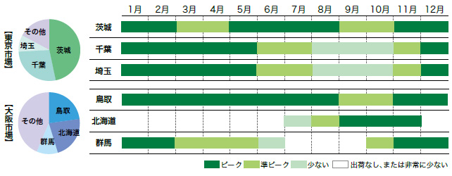 長ねぎの市場シェアと出回り時期
