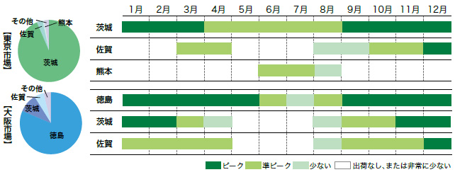 れんこんの市場シェアと出回り時期