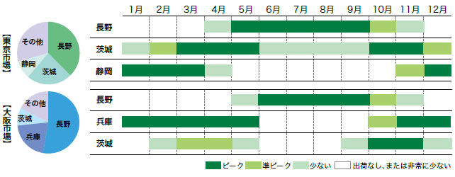 レタスの市場シェアと出回り時期