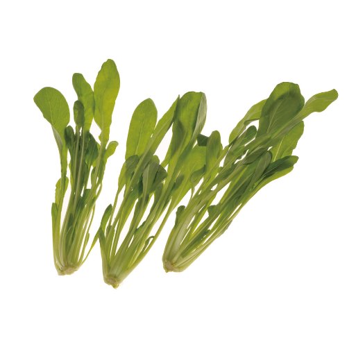 壬生菜