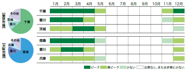 菜の花の市場シェアと出回り時期