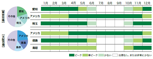 ブロッコリーの市場シェアと出回り時期