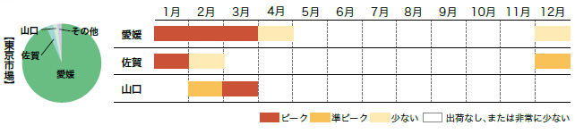 いよかんの市場シェアと出回り時期